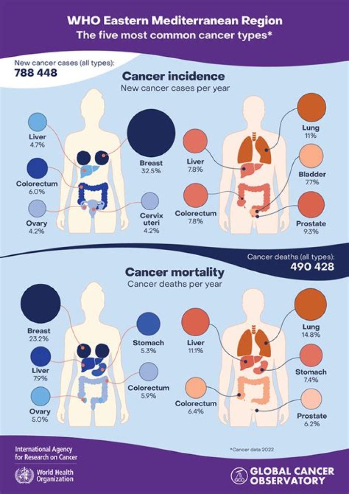 A Professional's Journey Amidst Cancer