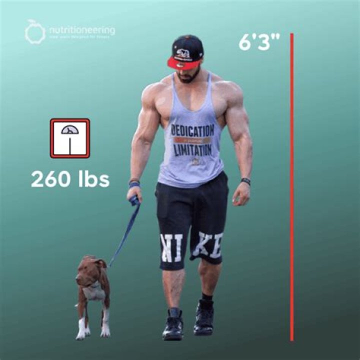 Bradley Martyn Age Height And Net Worth: A Comprehensive Analysis