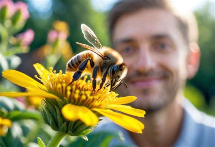 Can bees recognize your face?