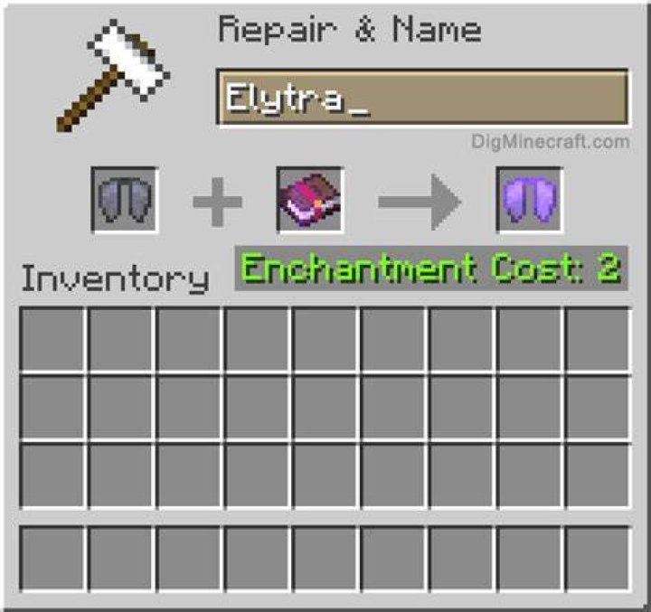 Can we put infinity on Elytra?