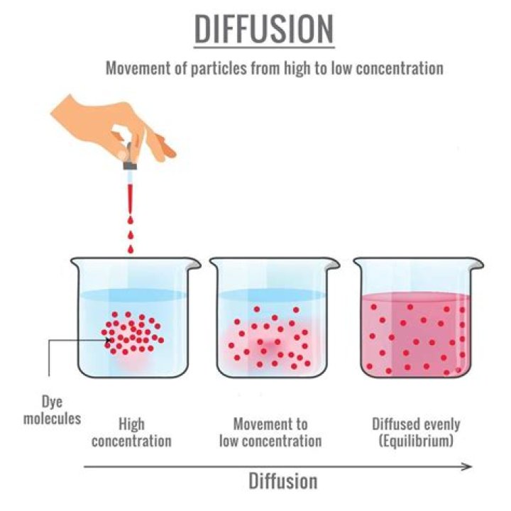 Discover The Hidden Truths Behind "What Does Diffusion Line Mean"