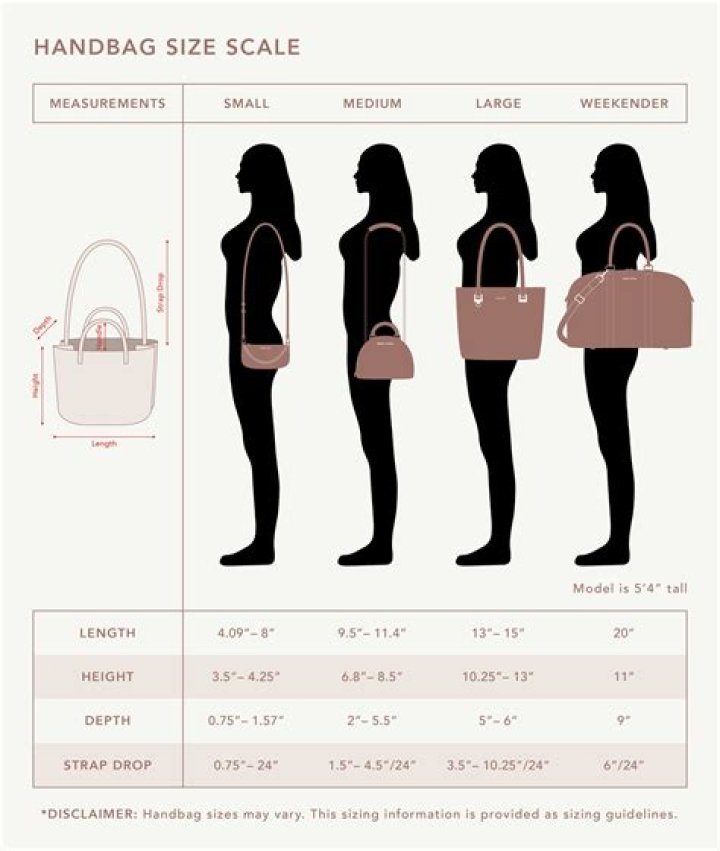 Dive Into The Perfect 15in X 11in Bag