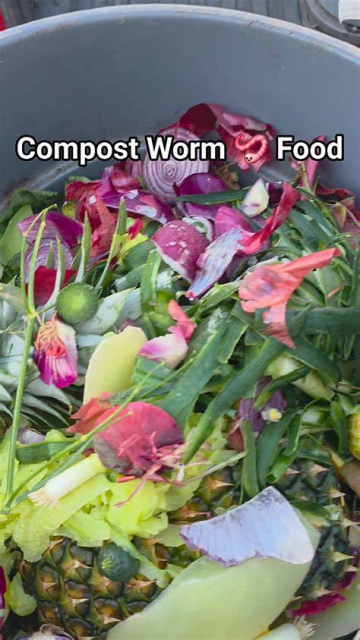 Do you need to remove worms from compost?