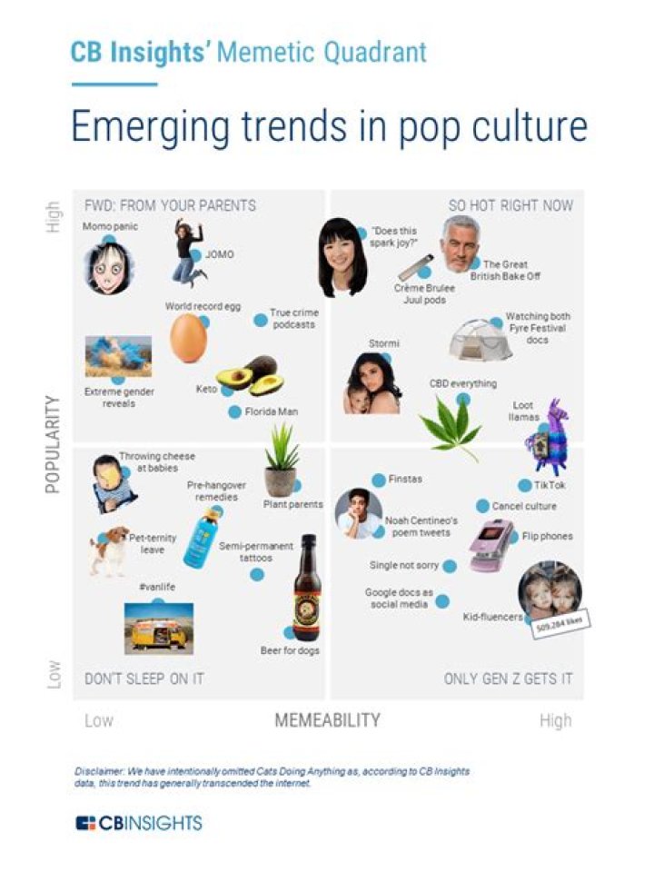 Exclusive Insights For Pop Culture Enthusiasts