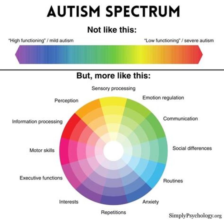 Exploring Autism Spectrum Traits In Jack Reacher