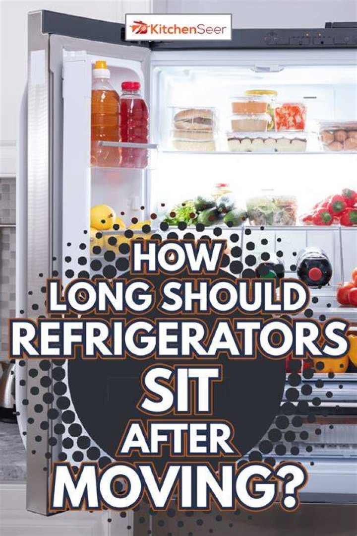 How long should fridge sit before plugging in?