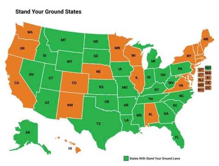 Insights Into Aaron Lawson's "Stand Your Ground" Case