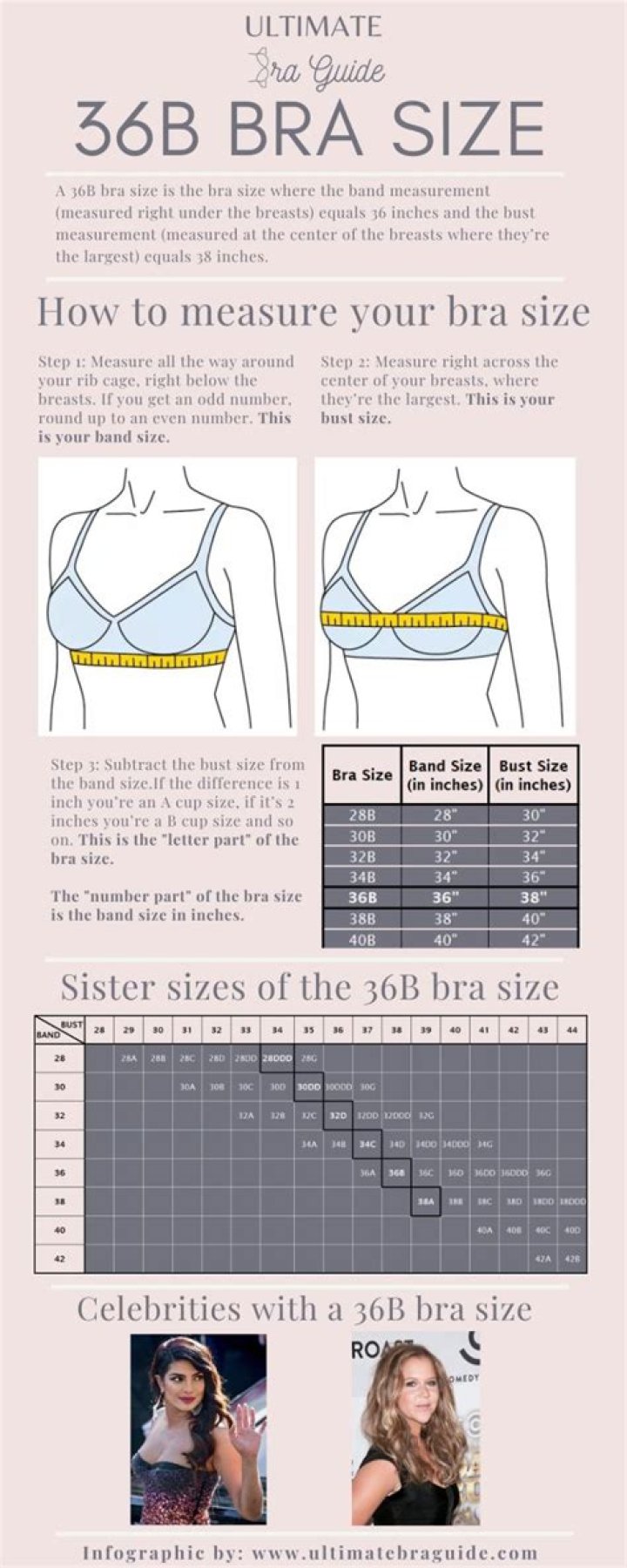 Is 36B small or medium?
