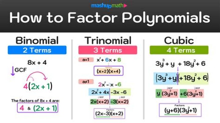 Uncovering The Factors And Finding Solutions