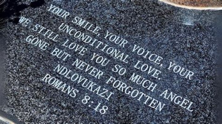 Unveiling Peter Wright's Vet Age: Insights And Surprises