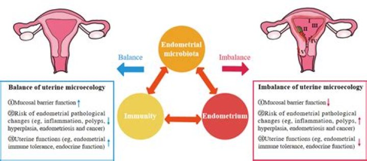 Unveiling The Nexus Of Love, Intimacy, And Career