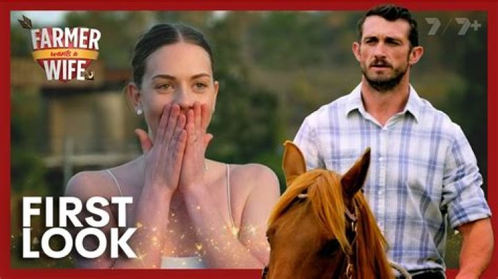 Wants A Husband Hollywood Life |