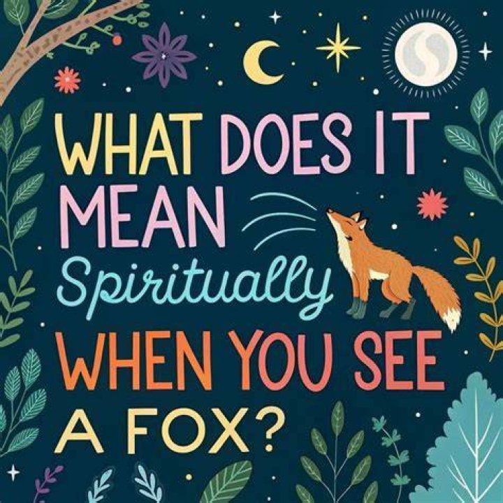 What does it mean when you see a fox at night?
