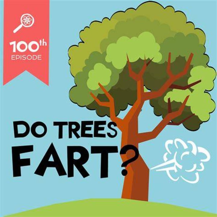 What is a tree fart?