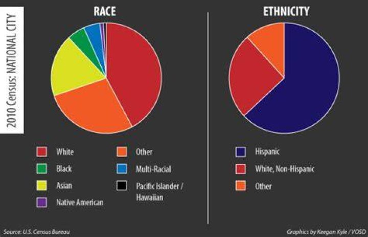 What is my ethnicity if I am white?