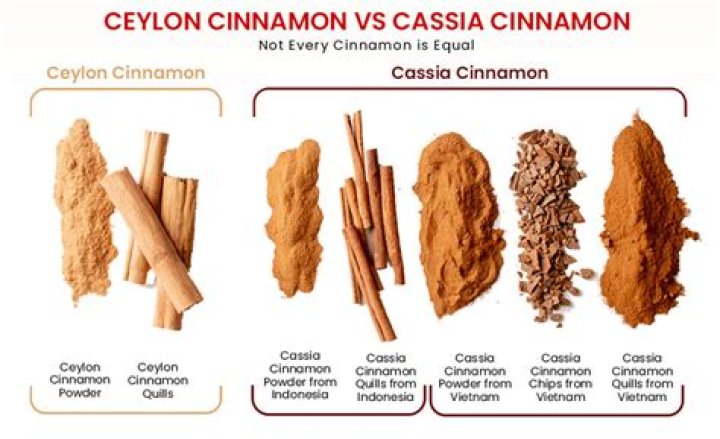 What is the difference between true cinnamon and Cassia?