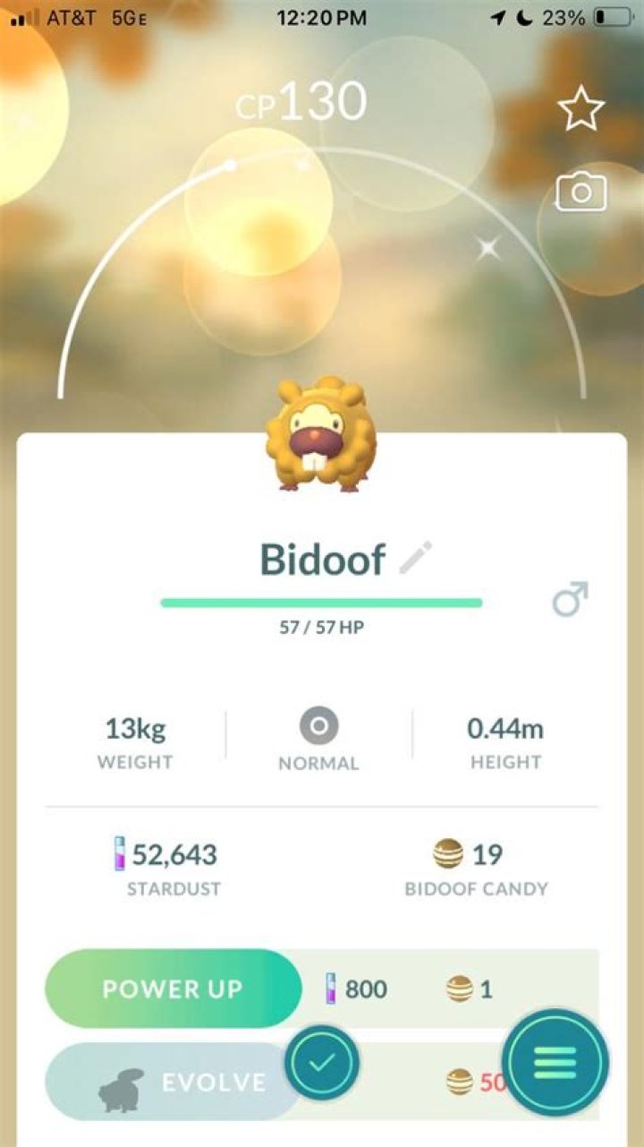 Where is the third Bidoof?