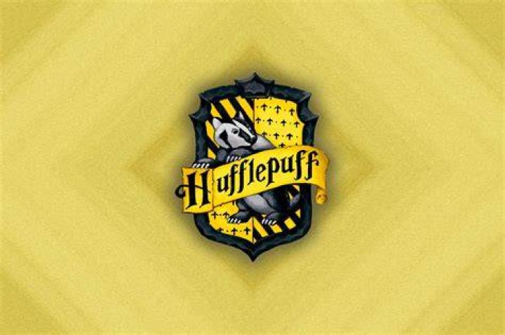 Who was in Hufflepuff?